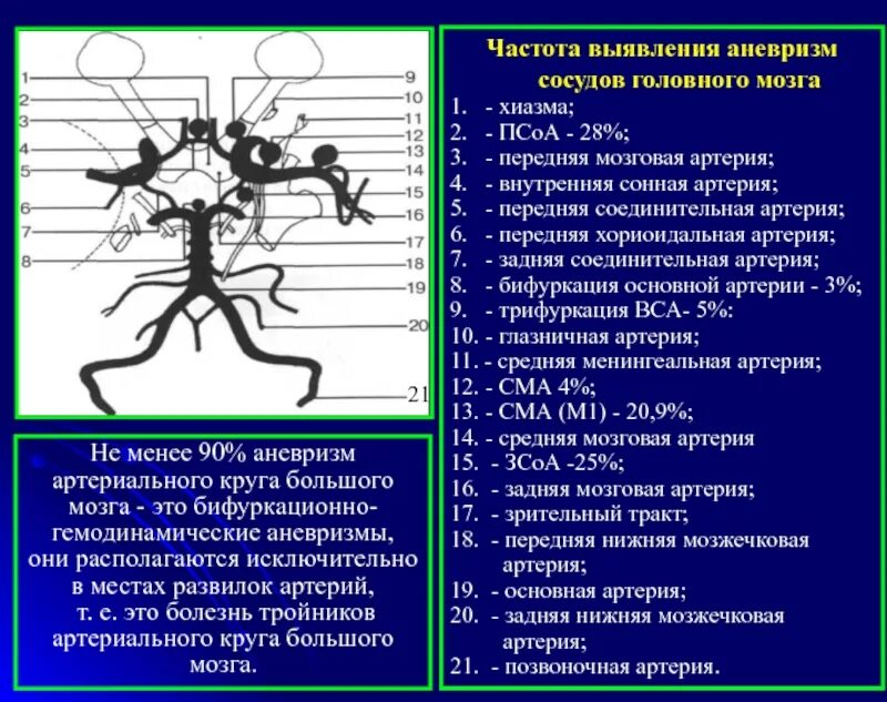 Аневризма базилярной артерии. Среднемозговая артерия аневризма. Классификация аневризм внутренней сонной артерии. Аневризма сосудов головного мозга а1а2. Сегмент а1 пма