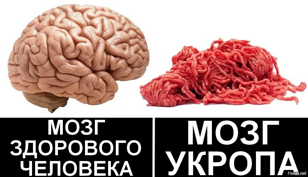 Отключение мозга. Мозг прикол. Мозг хохла.