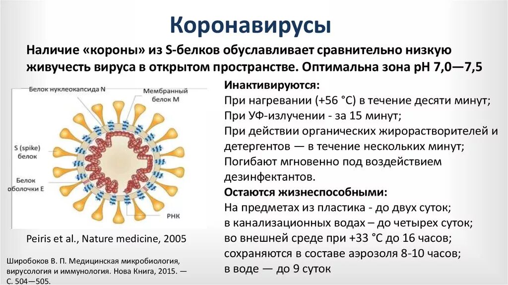 Оренбургский коронавирус. Коронавирус микробиология строение. Коронавирус патогенез микробиология. Морфология коронавируса микробиология. Коронавирус строение вириона.