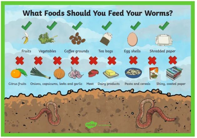 My worms. My worms