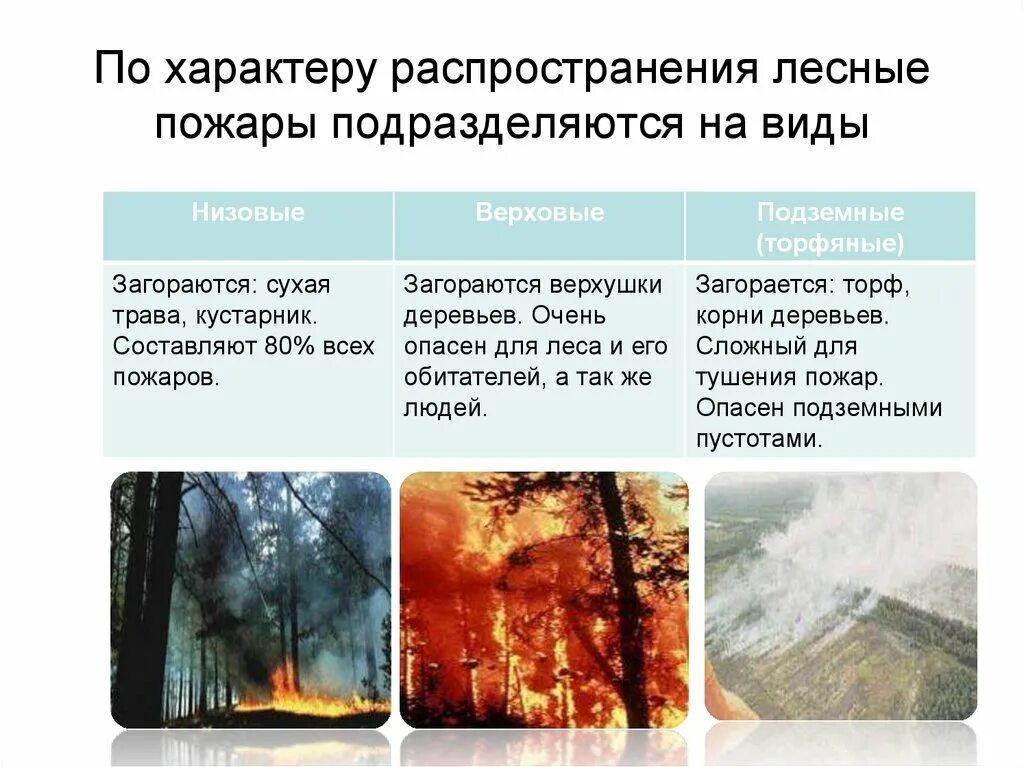 Пожары подразделяются по характеру на. Характер распространения пожара. По характеру распространения Лесные пожары подразделяются на. Пожары по характеру распространения. Природный пожар определение