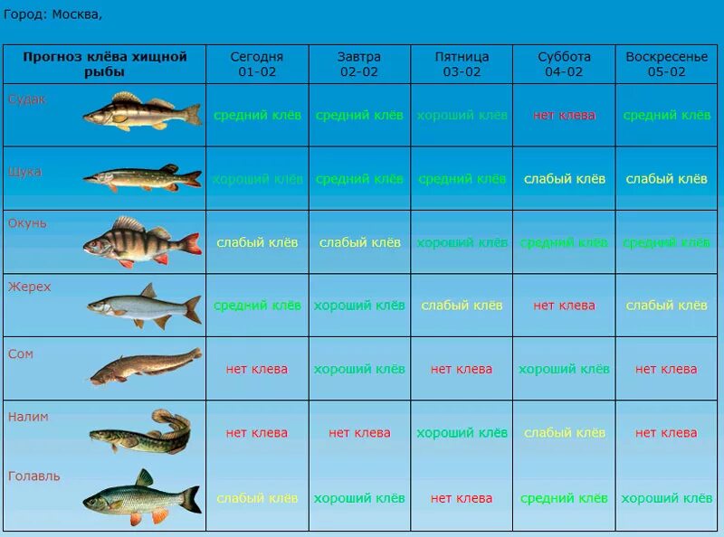 Рыбалка погода клев. Клев рыбы. Прогноз клева. Прогноз клёва рыбы. Таблица рыболова.