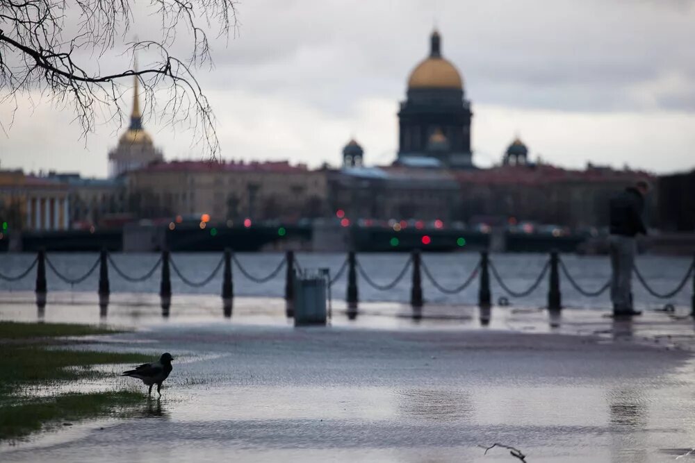 Дождливый Петербург. Санкт-Петербург дождь. Дождь в Питере. Пасмурный питер