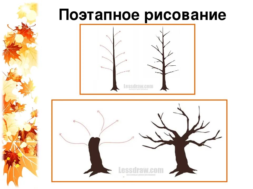 Изо рисовать дерево. Поэтапное рисование осеннего дерева. Урок рисования 2 класс осеннее дерево. Деревья осенью занятие. Алгоритм рисования дерева в старшей группе.