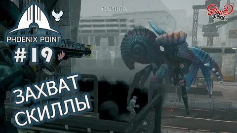 19 point