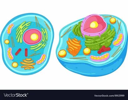 Порно видео: Бойжеткенді байлап, трахты