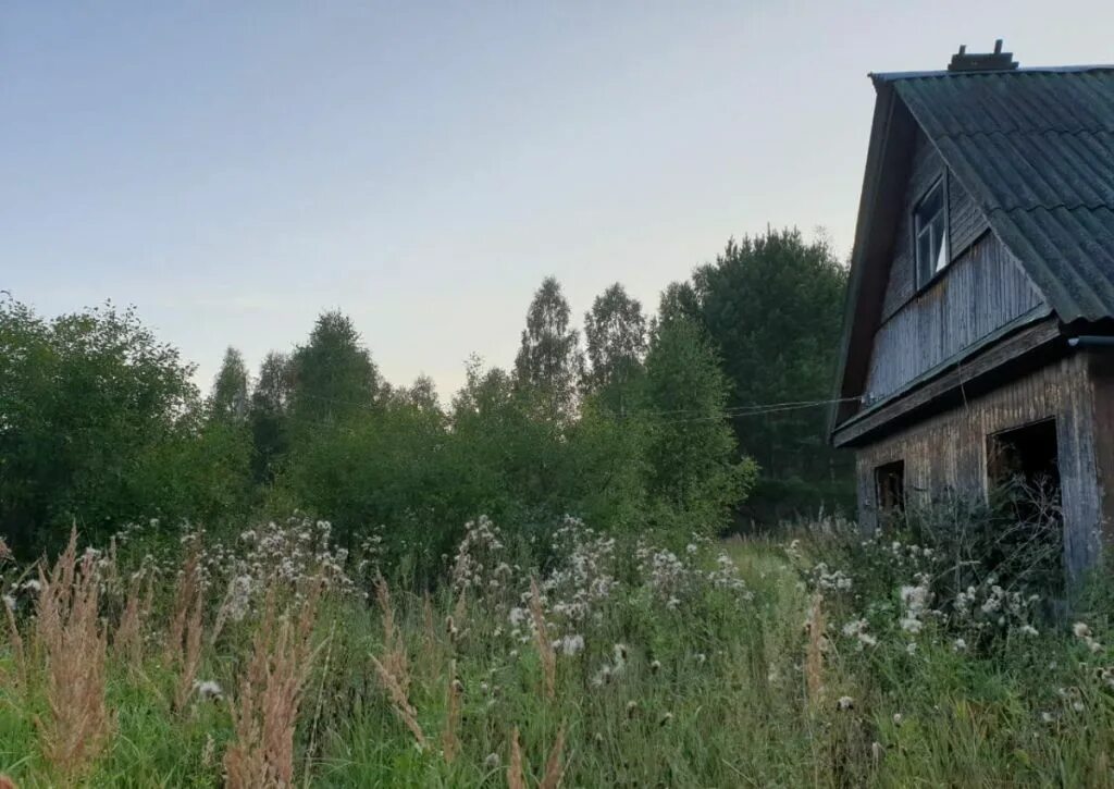 Рождествено верея. Парк усадьбы рождествено. Рождествено верея. Парк рождествено верея конюшня. Парк рождествено верея.
