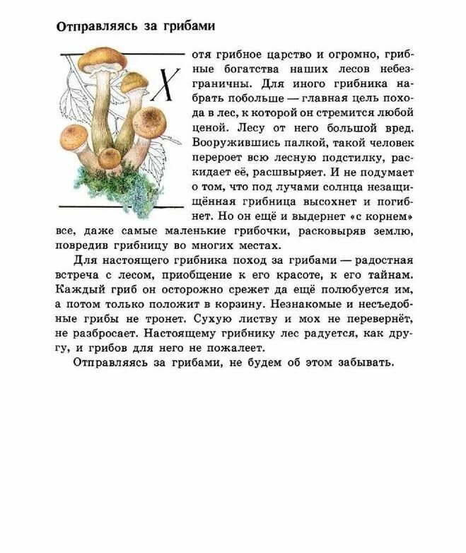 Атлас определитель зеленые страницы рассказ коварные двойники. Книга зелёные страницы рассказ коварные двойники грибы-двойники. Его величество Боровик зеленые страницы. Книжка зеленые страницы рассказ коварные двойники.