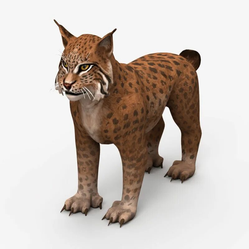 Рысь 3д модель. Линкс 3д. Lynx 3d model. 3д Рысь Шлепа.