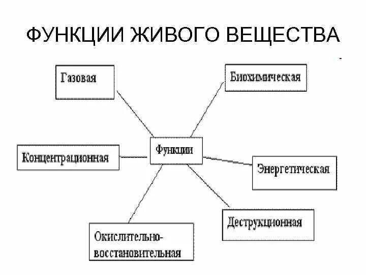 Живое вещество схема