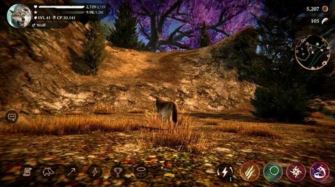 The wolf game