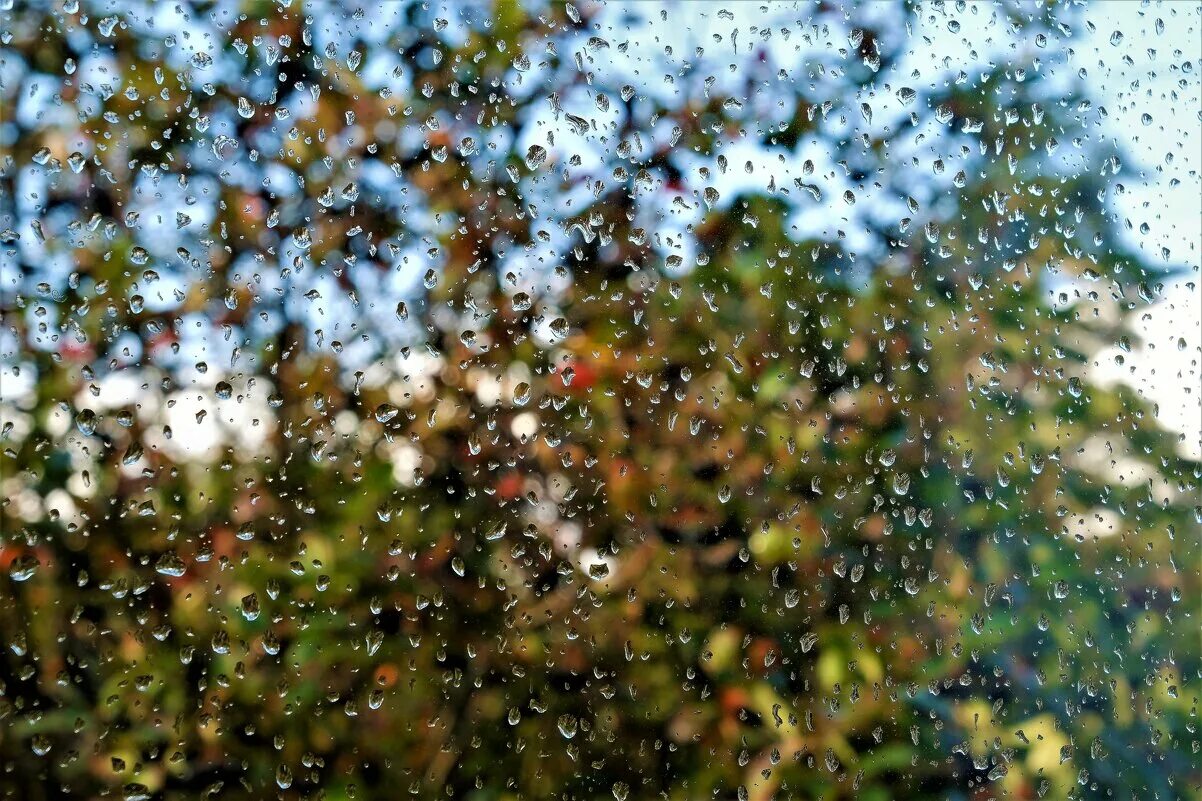 летом будут дожди. дождь летом. летний дождь. сильный дождь. лето дождь.