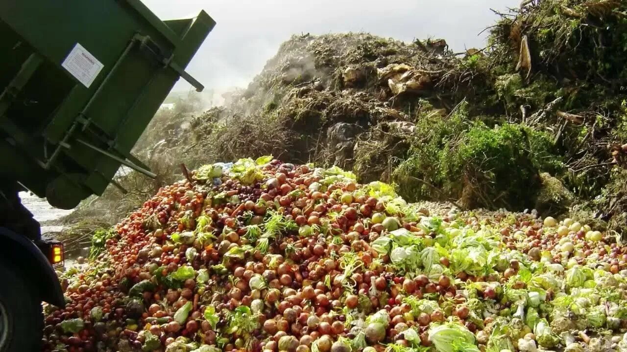 Проблема отходов и побочных продуктов. Отходы сельского хозяйства. свалка пищевых отходов. сельскохозяйственные отход. свалка органических отходов.