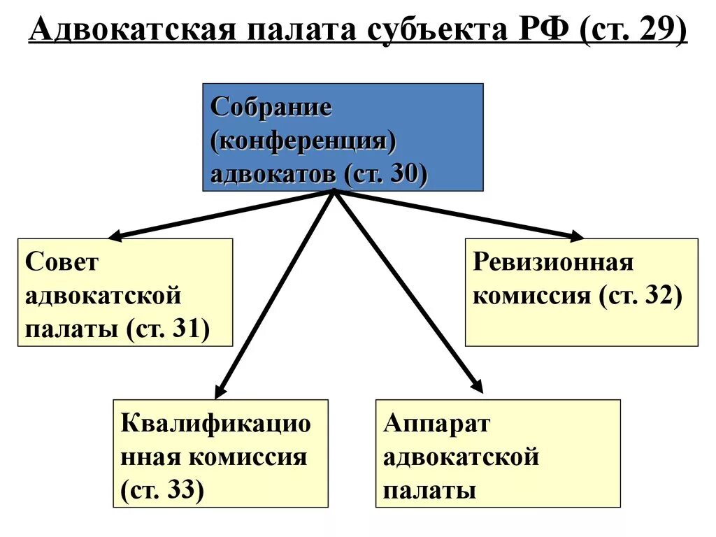 Система и функции органов адвокатуры. Структура адвокатской палаты субъекта РФ. Структура палаты адвокатов субъекта. Полномочия палаты адвокатов субъектов РФ. Структура адвокатской палаты субъекта РФ схема.