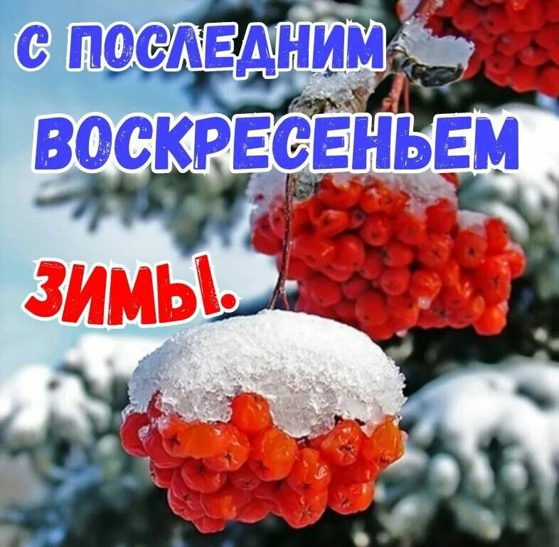 Первым февраля доброе утро. С последним воскресеньем зимы. С последними днями зимы. С последним днем зимы. Споследним врскресеньем зимы.