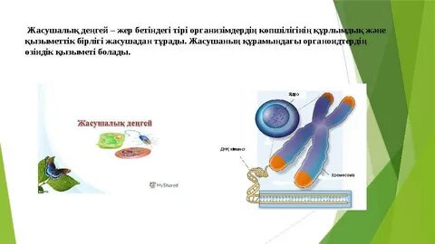 Үйдегі нәзік орыс қыздарының порнофотосуреттері