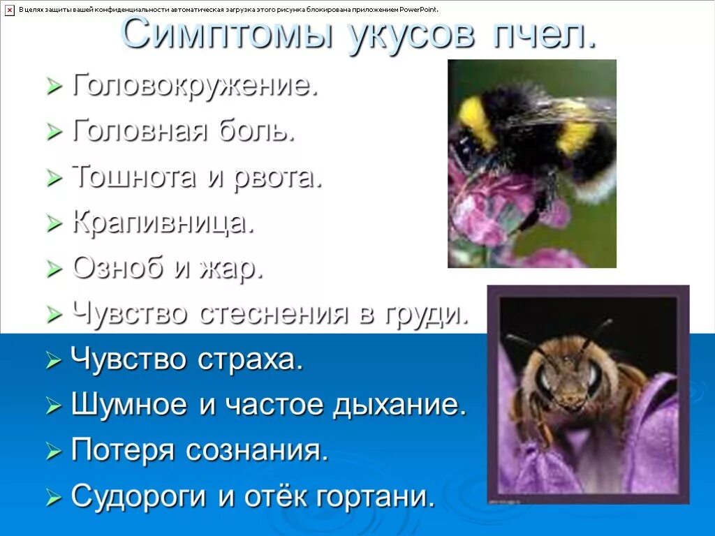 Как избежать укуса осы. Укусы животных презентация. Презентация на тему укусы насекомых.