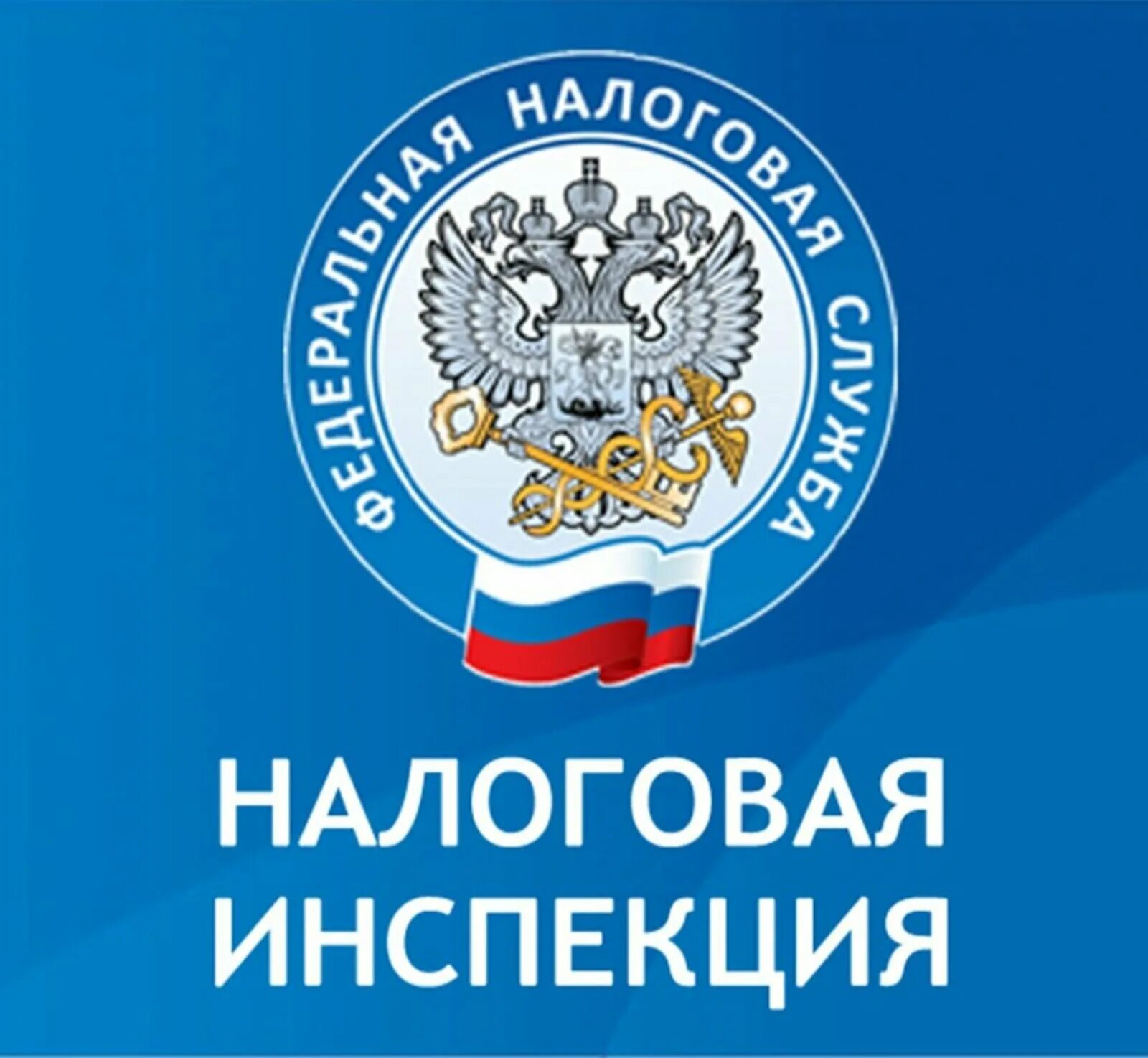 Фнс в каком году. Налоговая инспекция. Значок ФНС. Федеральная налоговая служба логотип. Герб ИФНС.