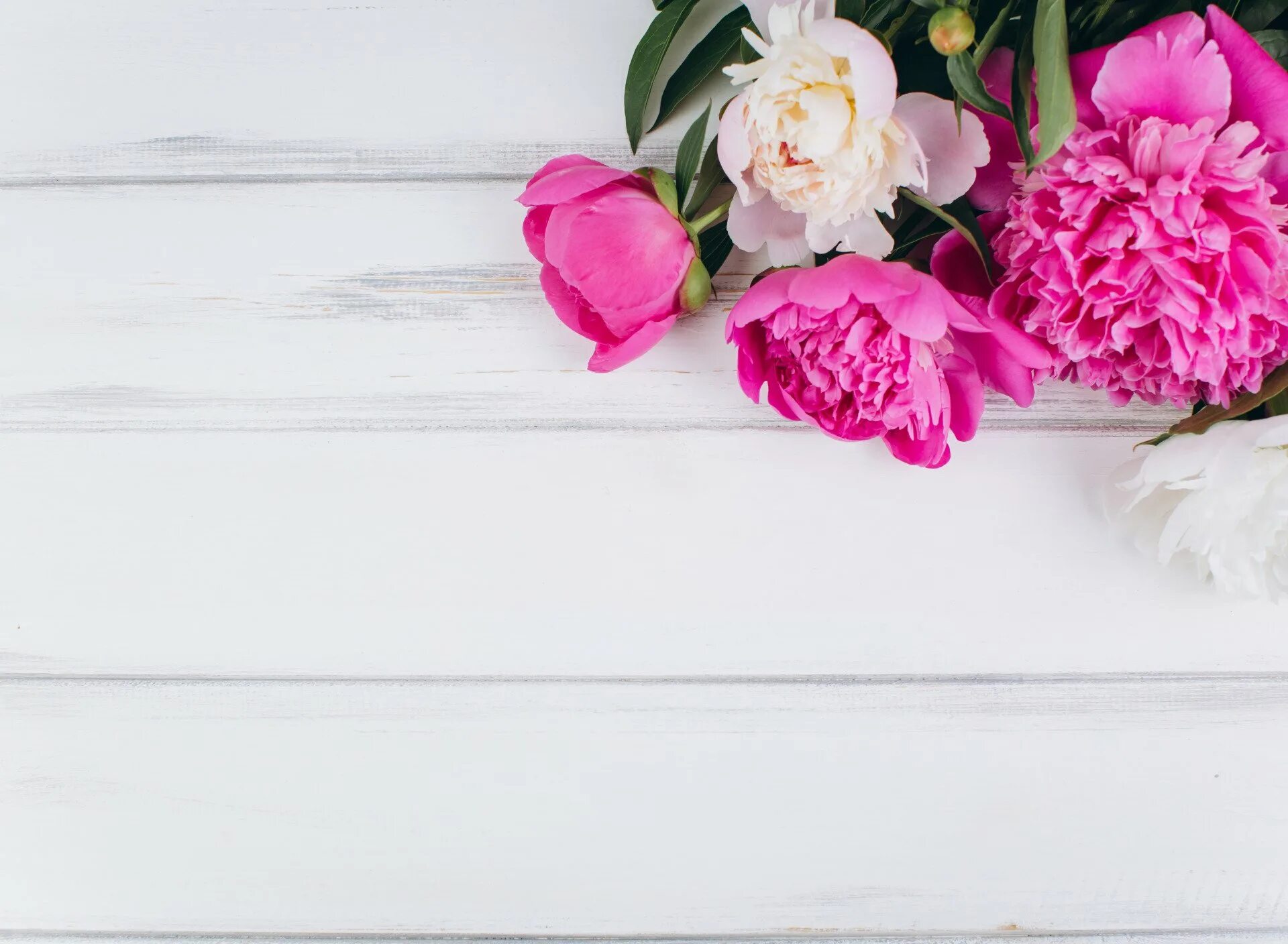 Цветы на фоне досок. Белые доски с цветами. Фотофон доски с цветами. Белые доски с цветами. Белые доски с цветами.