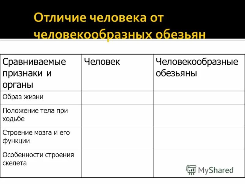 Что отличает человекообразную от человека. Jnkbxbt xtkjdtrf JN xtkjdtrjj,hfpys[ j,tpmzy. Человек и обезьяна сходства и различия. Сравнение человека и человекообразных обезьян таблица. Сходства и отличия человека и человекообразных обезьян.