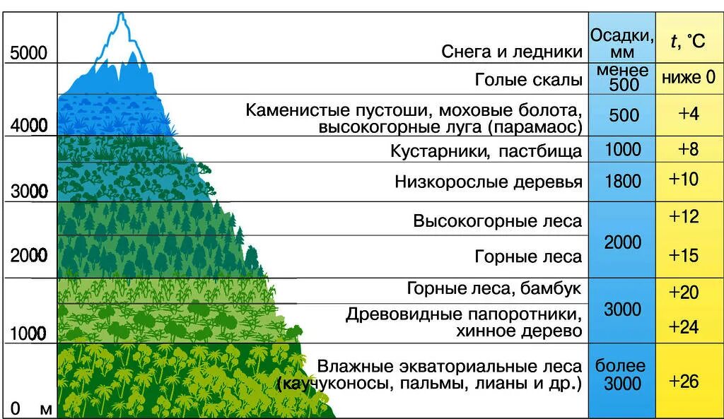 Природные зоны ВЫСОТНОЙ поясности. Высотная поясность горы Аконкагуа. Высотная зональность гор Кавказа. Высотная поясность таблица природные зоны. Закономерность размещения растительного покрова на земном шаре