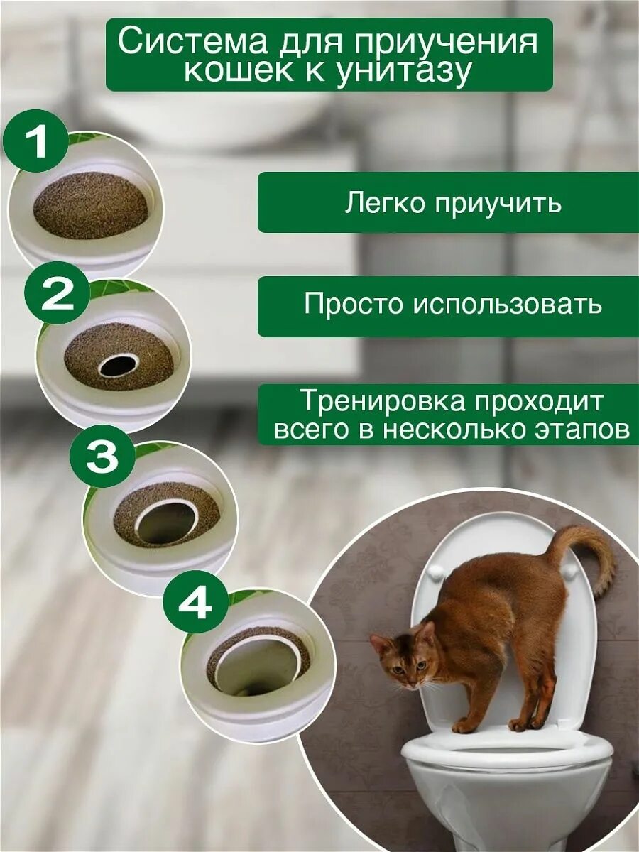 Как приучить кота на улицу в туалет. Система приучения кошек к унитазу. лоток для приучения кошек к унитазу. приучить кошку к унитазу. приучение кошки к унитазу приспособление.