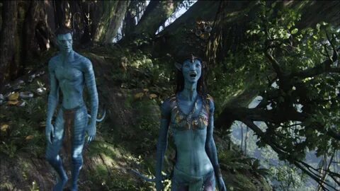 Na'vi / Neytiri / Cameron's Avatar 