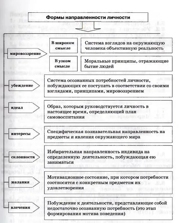 Значение экономической направленности и социальных установок личности. Структура мотивов и направленность личности. структура мотивов и направленность личности в психологии. направленность личности общая психология. типы направленности личности в психологии.