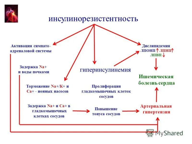 Инсулинорезистентность. Проявления инсулинорезистентности. Инсулинорезистентность причины. Причины инсулинорезистентности. Высокая резистентность