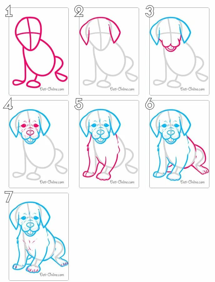Как рисовать собаку. Рисунки для начинающих. Рисунок собаки легкий. Пошаговый рисунок собаки. Уроки рисования для начинающих поэтапно