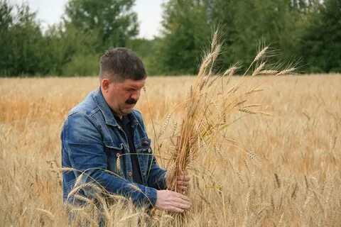 Ростов посадки