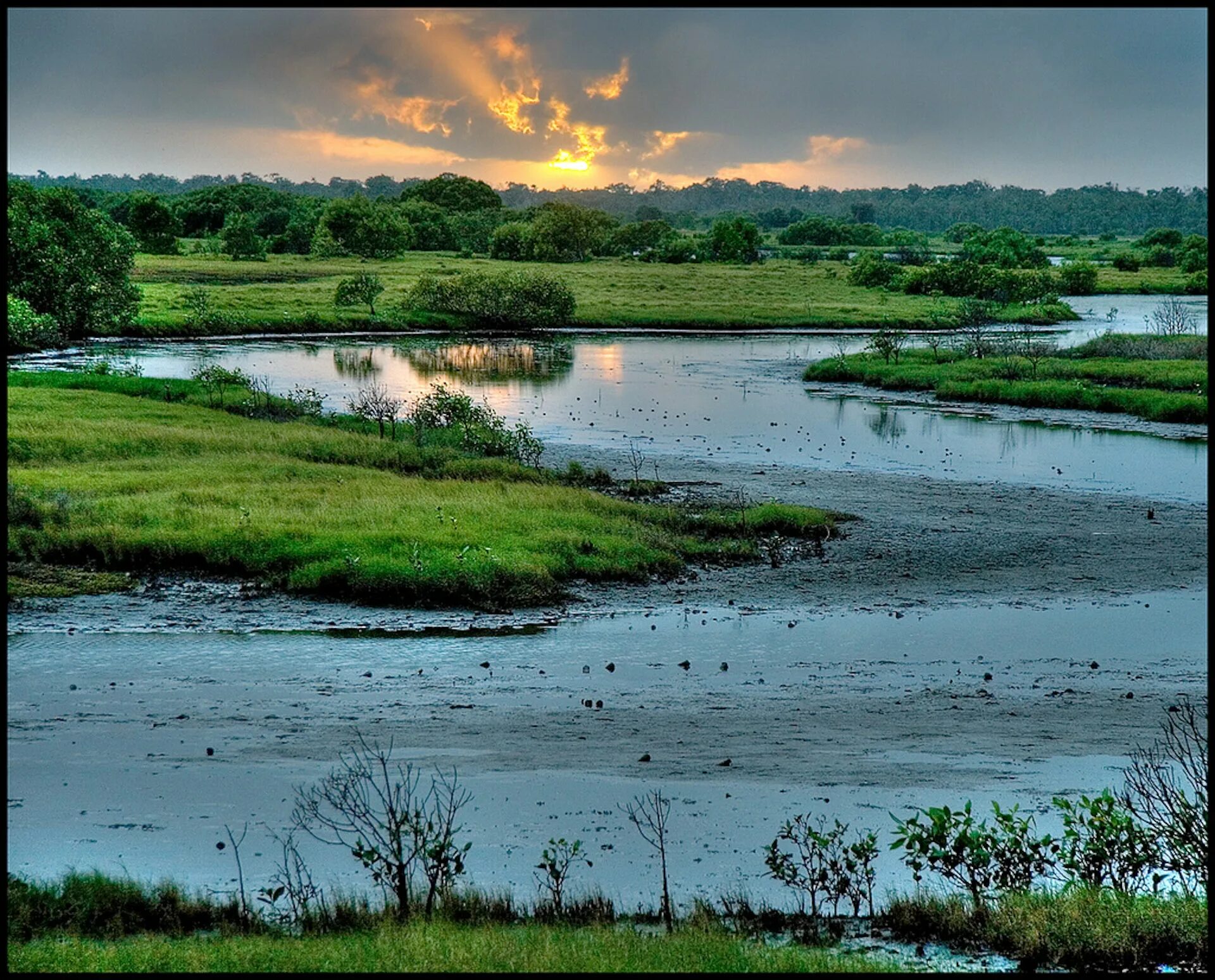 Natural v. Wetland Югославия. Permanent Wetlands. River & Wetlands. Inland Wetlands Worldwide have disappeared.