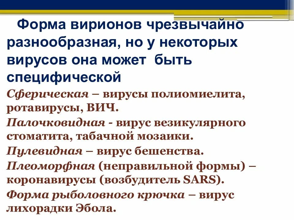 Чрезвычайно разнообразный
