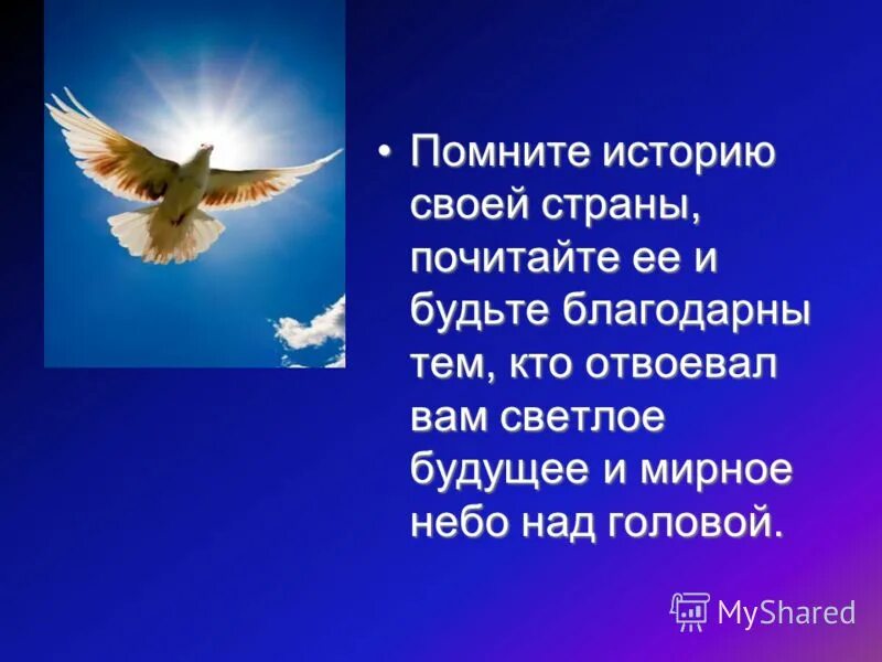 Мирногогеба над головой. Желаю всем мирного неба над головой. Мирного неба над головой стихи.