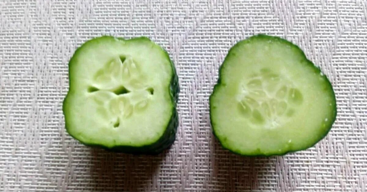 Огуречные семена. Огурец мужской и женский. Женские и мужские семена огурцов. Съешь пол огурца. Плод огурца.