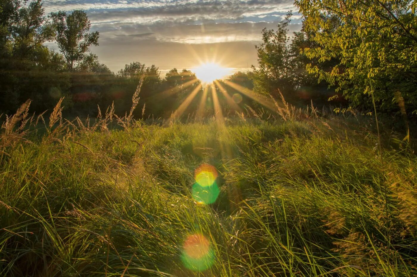 Утро солнце. Утро природа. Солнечные лучи. Лучи солнца. Пригревает яркое солнце