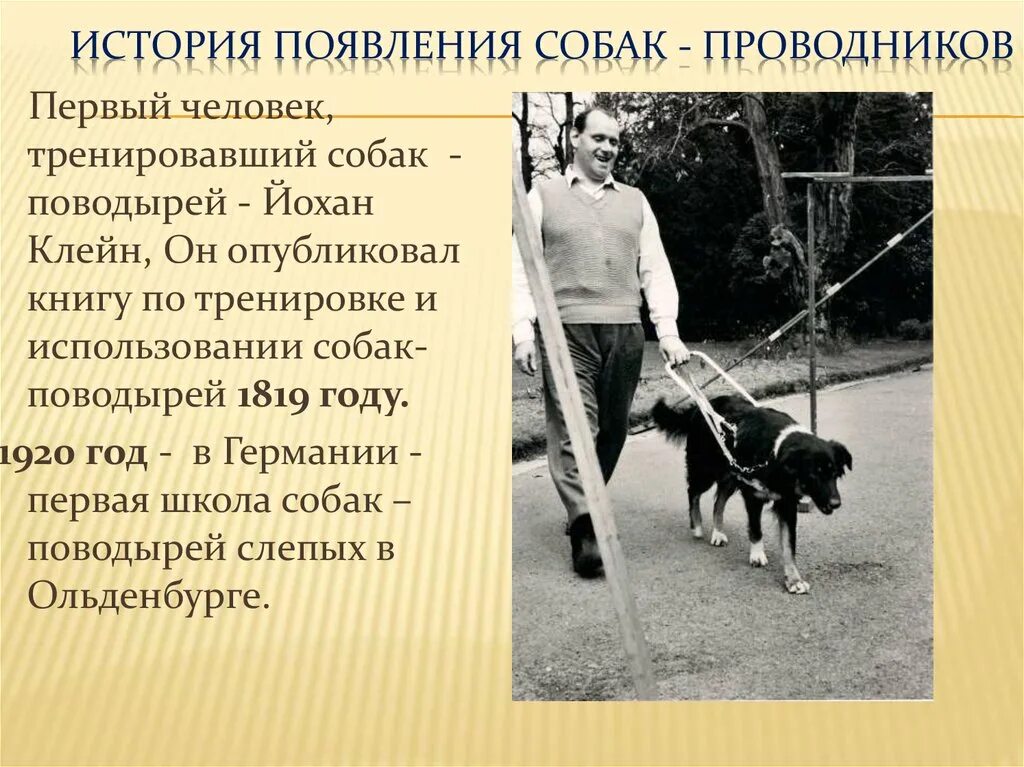 Какая 1 собака была. Йохан Клейн собаки поводыри. Появление собак. История появления собак. Собака поводырь.