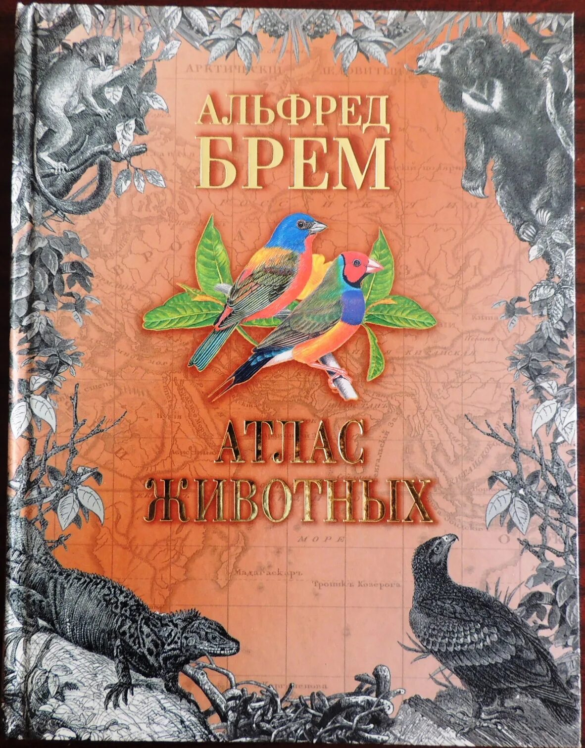 Жизнь животных том 1. Альфред брем атлас животных 2001. атлас животных брем аст 2000. альфред брем жизнь животных т.2. альфред брем жизнь животных т.1.