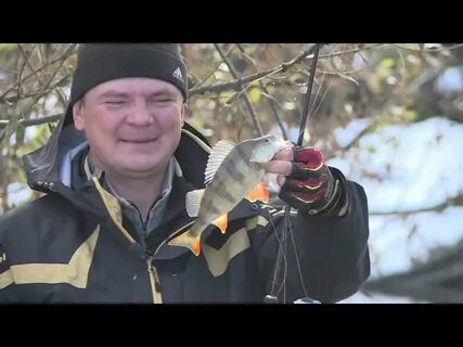 Окунь осенью на реке