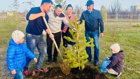Жапондармен жыныстық қатынас
