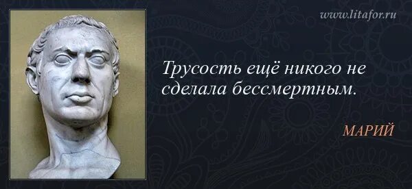 Самый главный из человеческих пороков трусость. Трусость цитаты. Высказывания о трусости. Афоризмы про малодушие. Афоризмы про трусость.