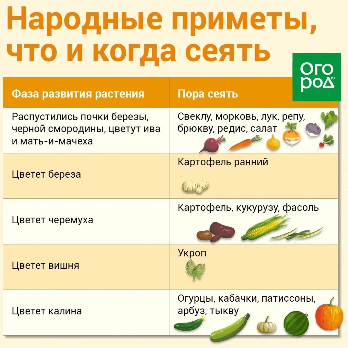 Можно ли сеять свеклу. Посадка овощей по народным приметам. Народные приметы когда что сажать. Народные приметы когда что сажать в огороде. Народные приметы про огород.