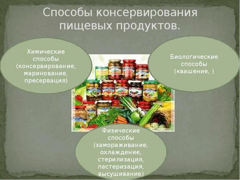 Разработка проекта консервации. Методы консервирования пищевых продуктов. методы консервации пищевых продуктов. консервирование пищевых продуктов товароведение. способы консервирования.