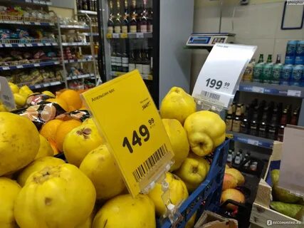 Айва золотое руно