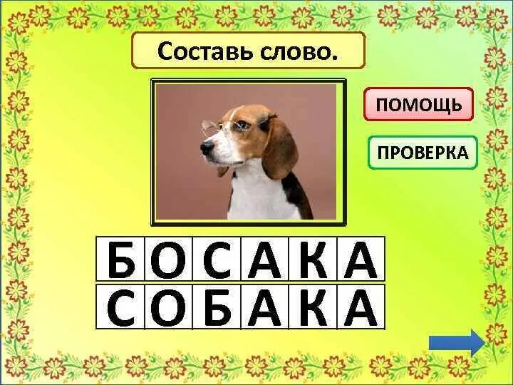 Анаграмма собака. Анаграмма слову собака. Слова из слова собака. Иконки к слову собака.