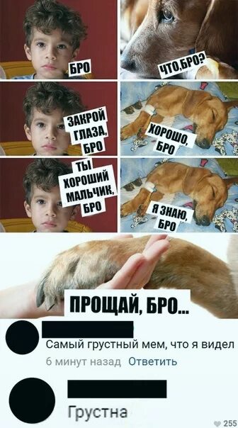 Мем про грустную. Самые грустные мемы. самый грустный мем. мемы с грустной собакой. грустные мемы вк.