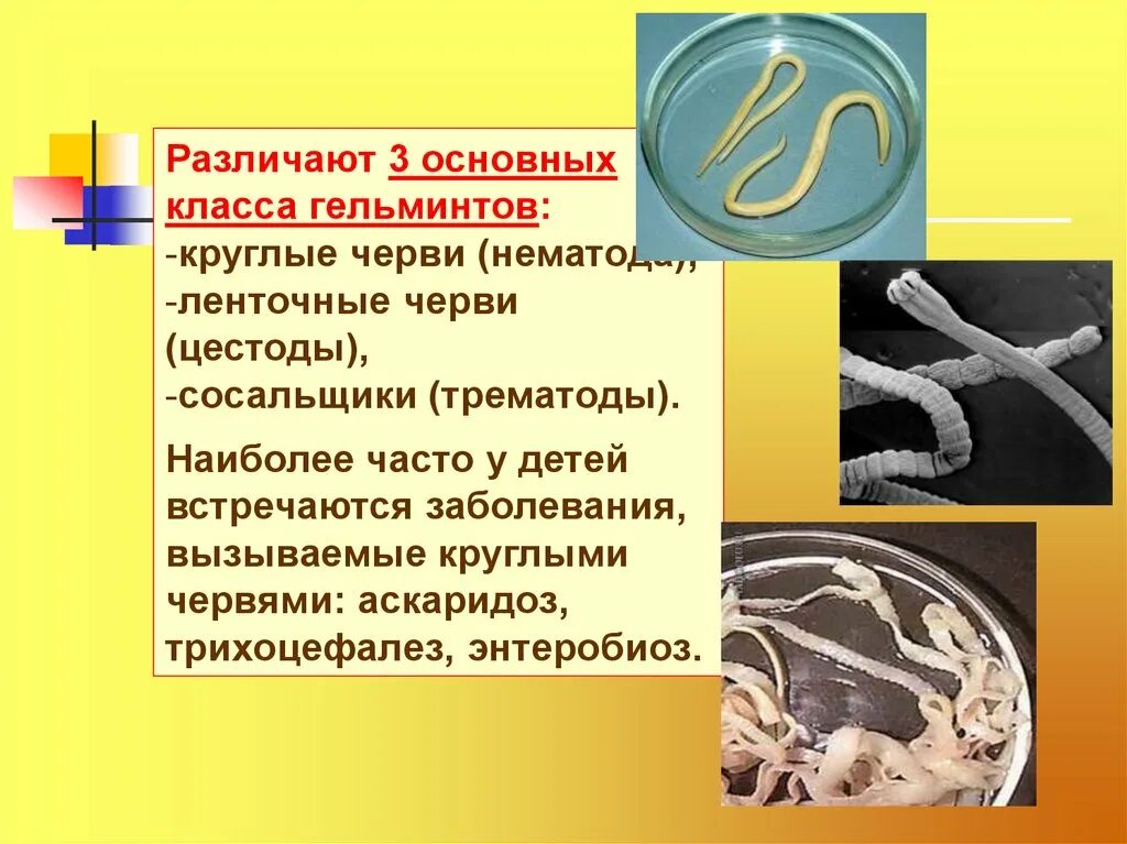 Какие продукты могут послужить источником при аскаридозе. Аскаридоз у детей презентация. Профилактика аскаридоза.