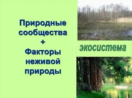 Естественные и искусственные тела 3 класс примеры