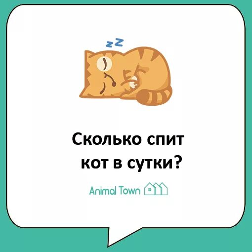 Сколько спят котята в 2. Сколько спят кошки. Сколько должен спать кот в сутки.