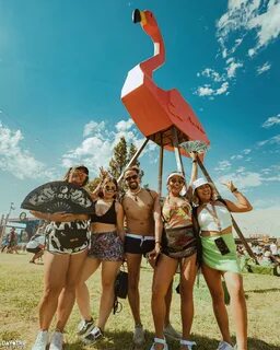 Trip festival
